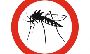 komarec,2