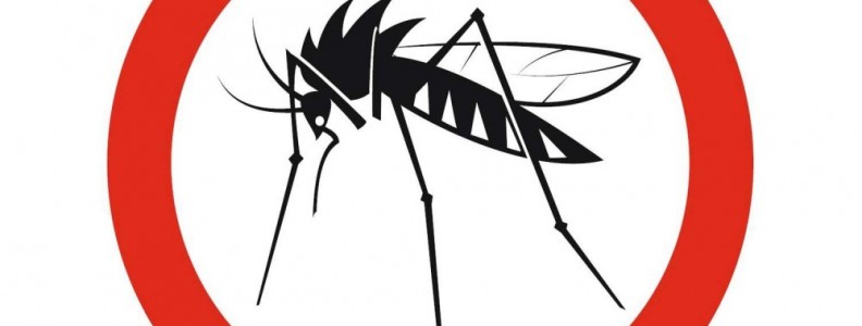 komarec,2